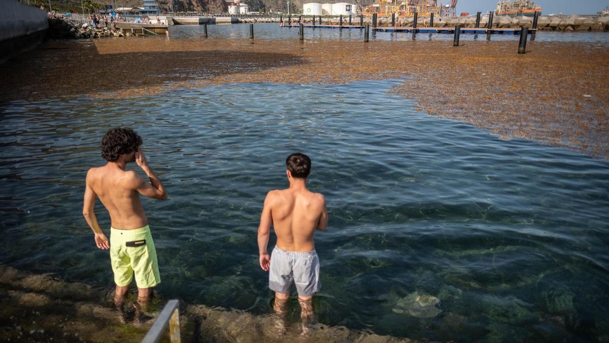 Dos jóvenes en la zona de baño de Valleseco miran una enorme mancha de sargazos.