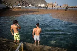 Gran mancha de algas en la costa de Valleseco (Tenerife)