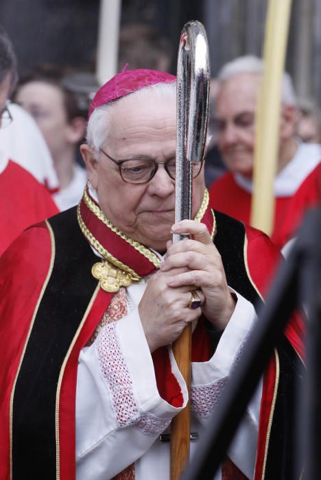 Benedicció de Rams a la catedral de Girona