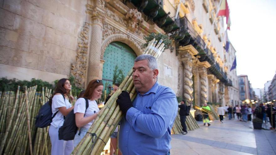 Llegada de los peregrinos de Santa Faz para recoger sus cañas a primera hora de la mañana.
