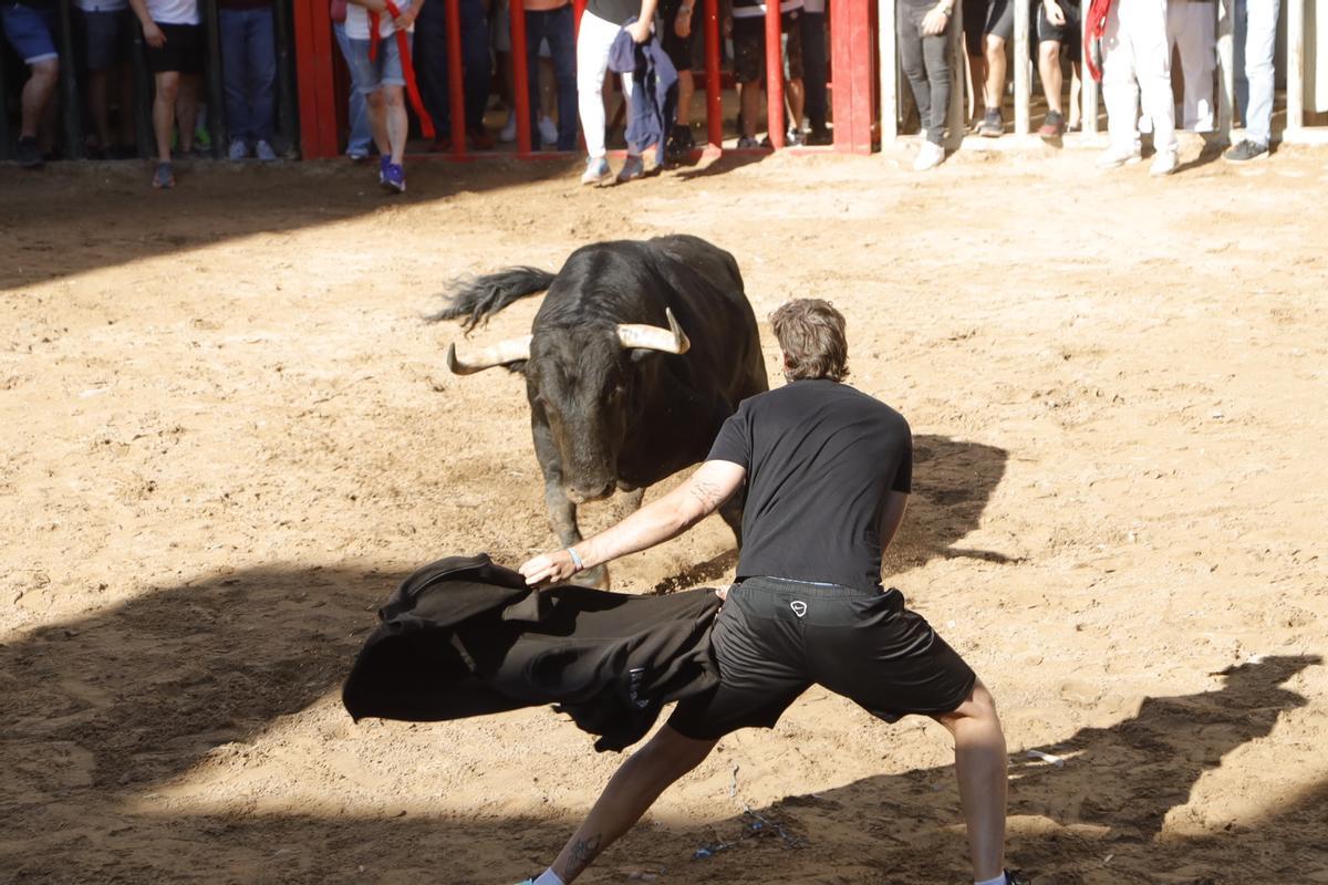 El sábado taurino de Santa Quitèria no defrauda