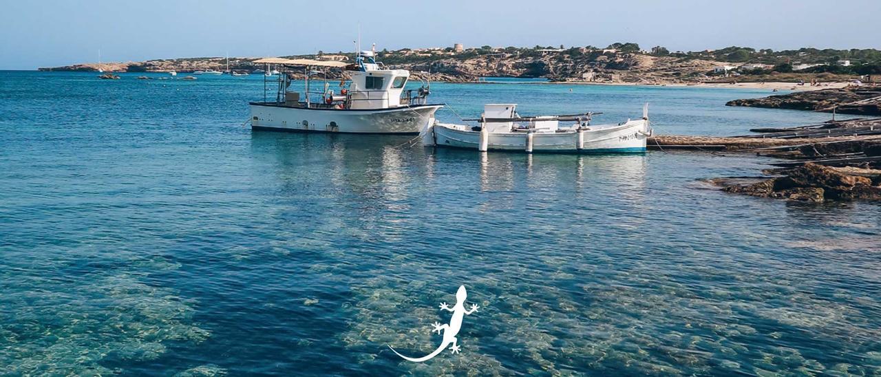 Guía de turismo de Formentera 2023, especial Fitur
