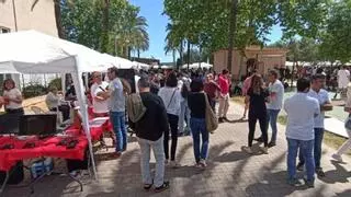 Manacor acogerá los días 8 y 9 de mayo la III Fira de Formació i Ocupació