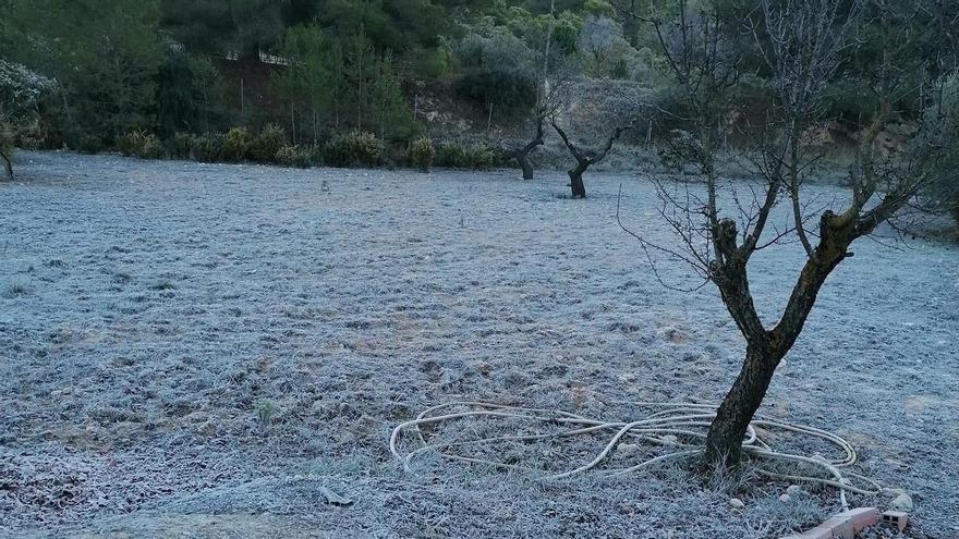 La escarcha cubriendo el paraje montañoso de Caprala en Petrer.