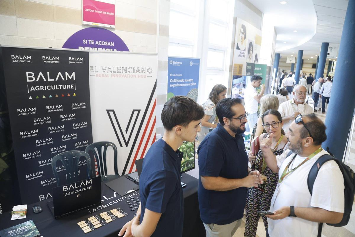 Asistentes a uno de los stands del encuentro sobre el aceite de oliva en Rabanales.