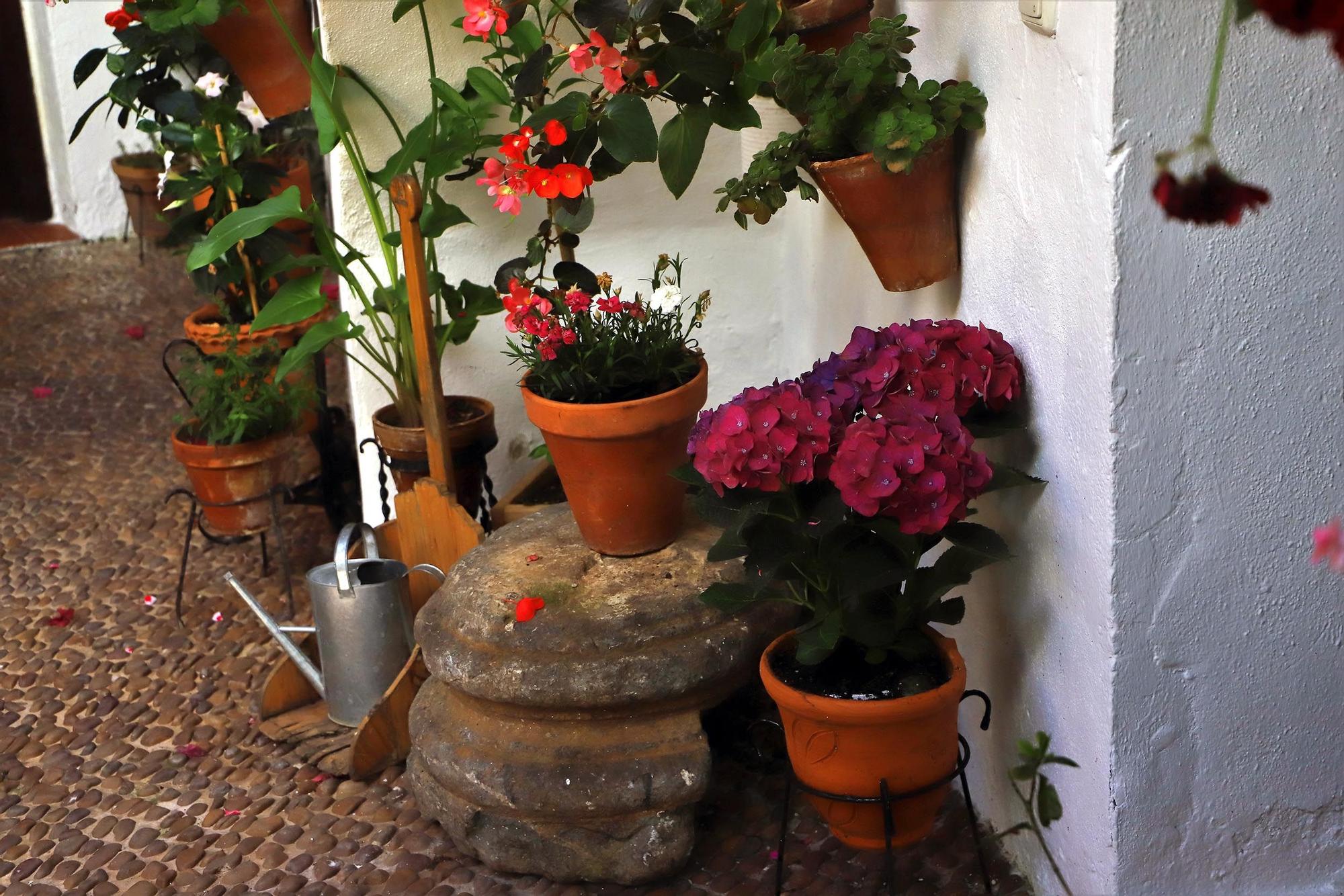 Largas colas en el primer sábado de patios