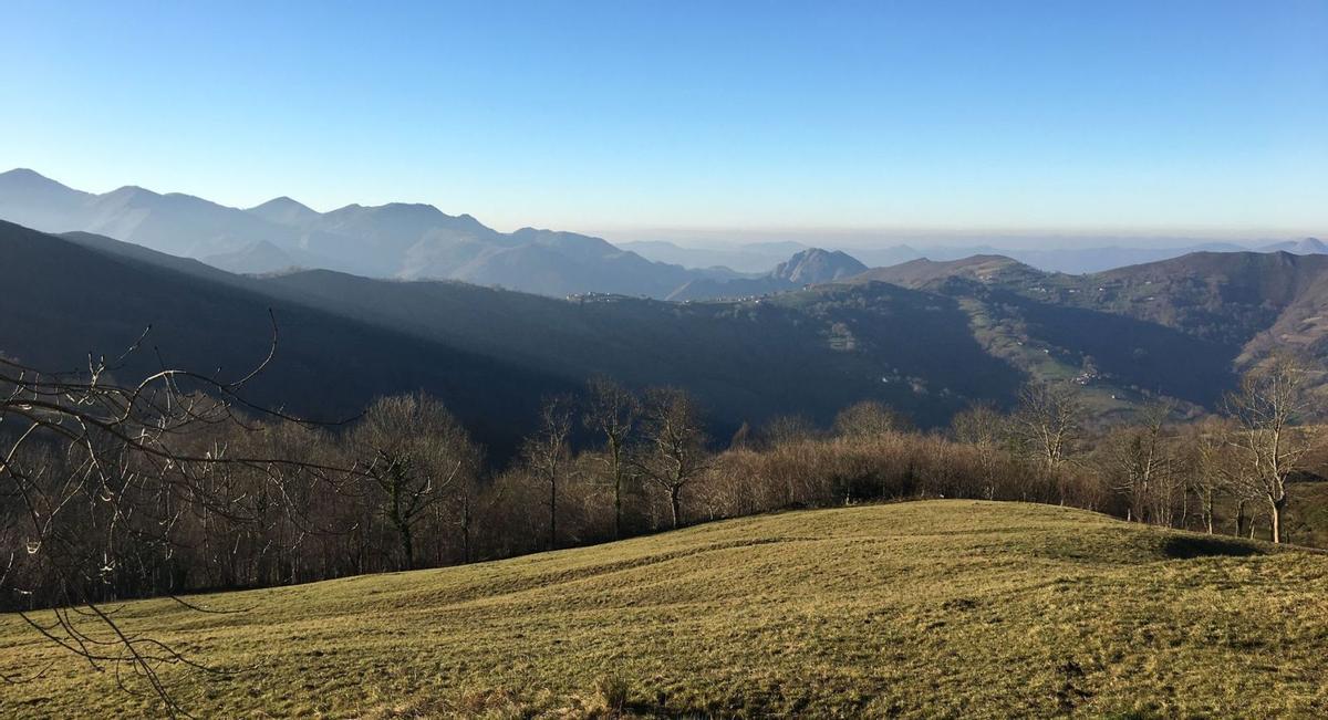 Vista de un área forestal de la región. | Cedida a Lne