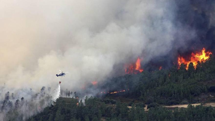 Cinco medios aéreos trabajan para sofocar un incendio junto al parque del Desert de les Palmes