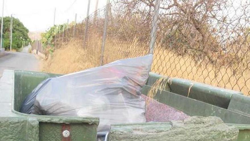 Varias pedanías se quedan sin nuevos contenedores de recogida de basura