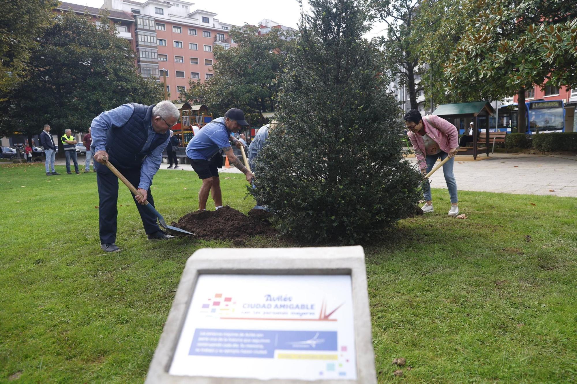 EN IMÁGENES: Avilés dedica una plaza pública a las personas mayores