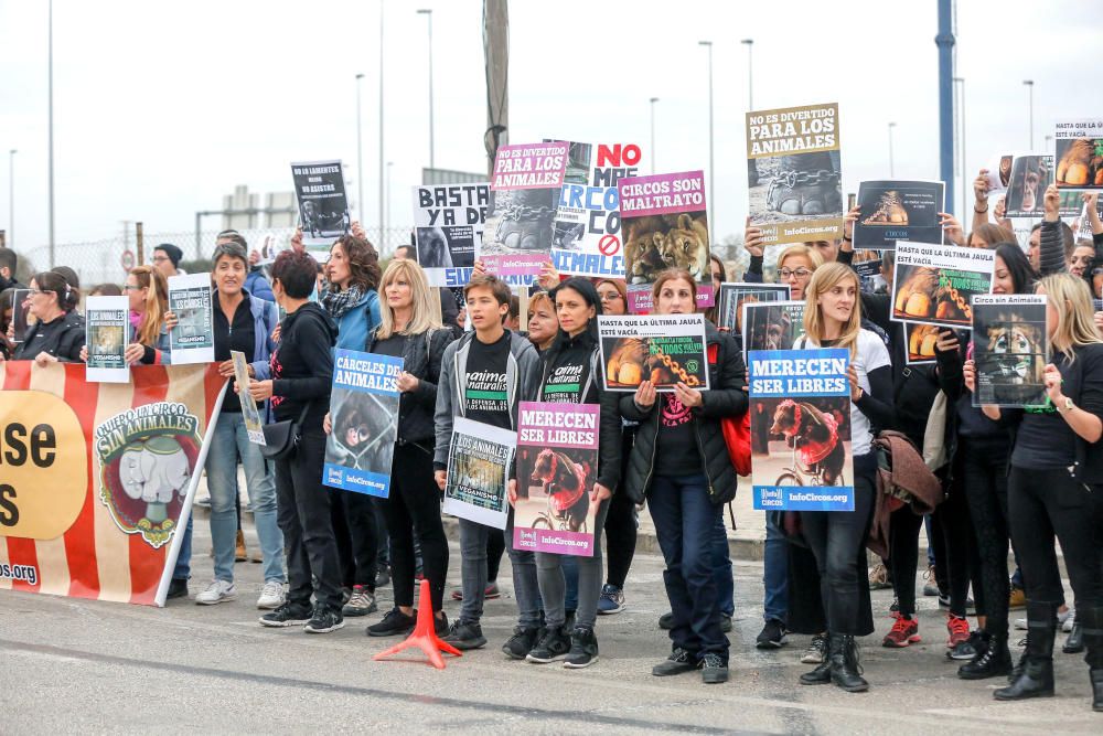 Protesta contra un circo con animales en Alfafar