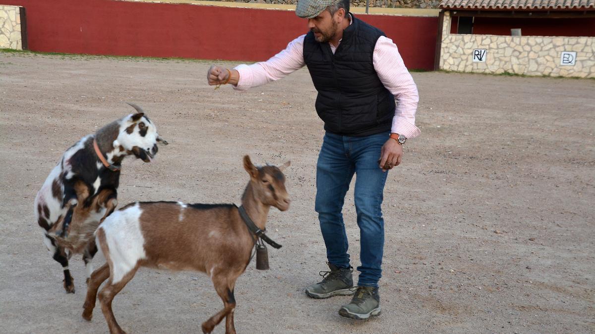 Naturaleza y plenitud: así viven los toros de la ganadería de Daniel Ramos