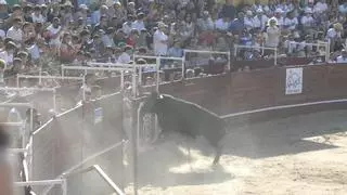 El número 13, el mejor cortador de Benavente