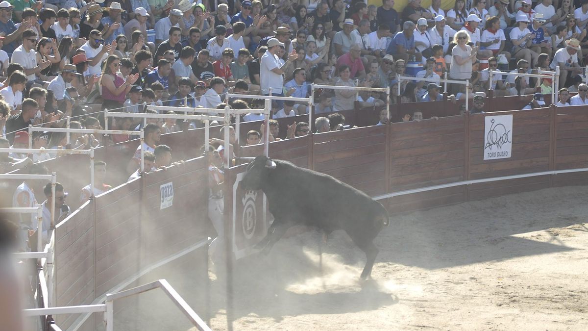 VIDEO | Tarde de cortes al filo en Benavente