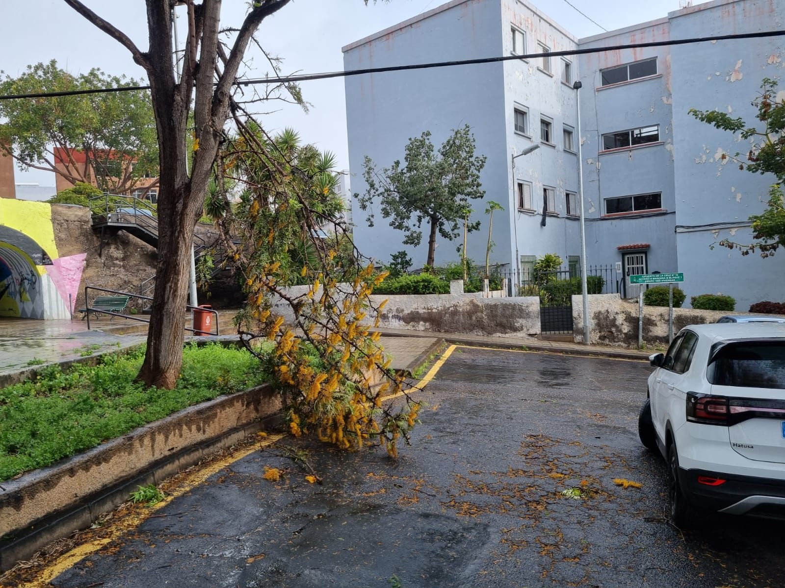 Incidencias por el temporal de viento en Tenerif