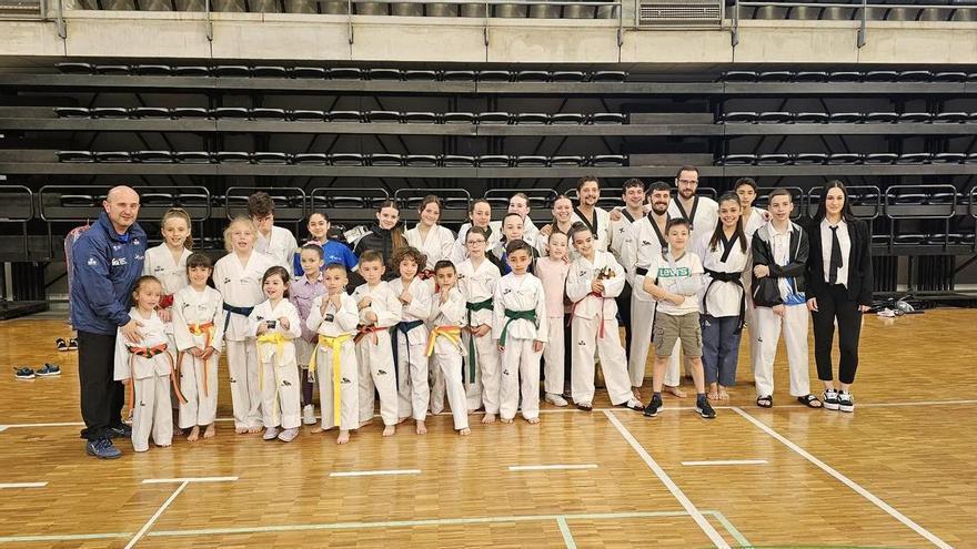 El taekwondo mierense se exhibe en el campeonato de Asturias, con triunfos en varias categorías