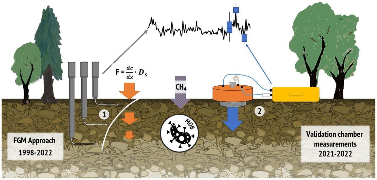 Sistema de monitoreo utilizado en el estudio.