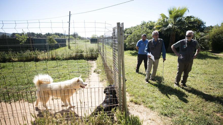 José Aranda, con muletas, y dos de los empleados muestran las instalaciones de Can Dog. | V.M.