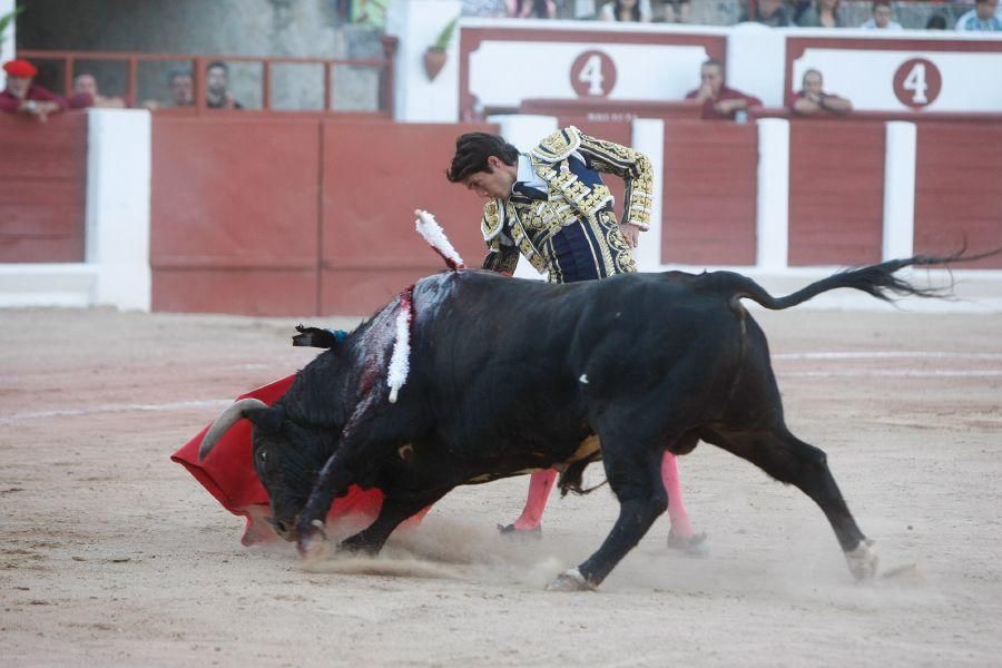 Toros en Zamora