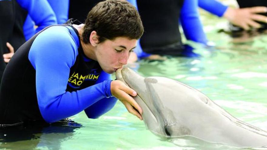 La tenista grancanaria Carla Suárez, el pasado 20 de marzo, en el Parque Acuático de Key Biscayne de Miami, besa a un delfín en un acto de promoción durante la cita de Cayo Vizcaíno.