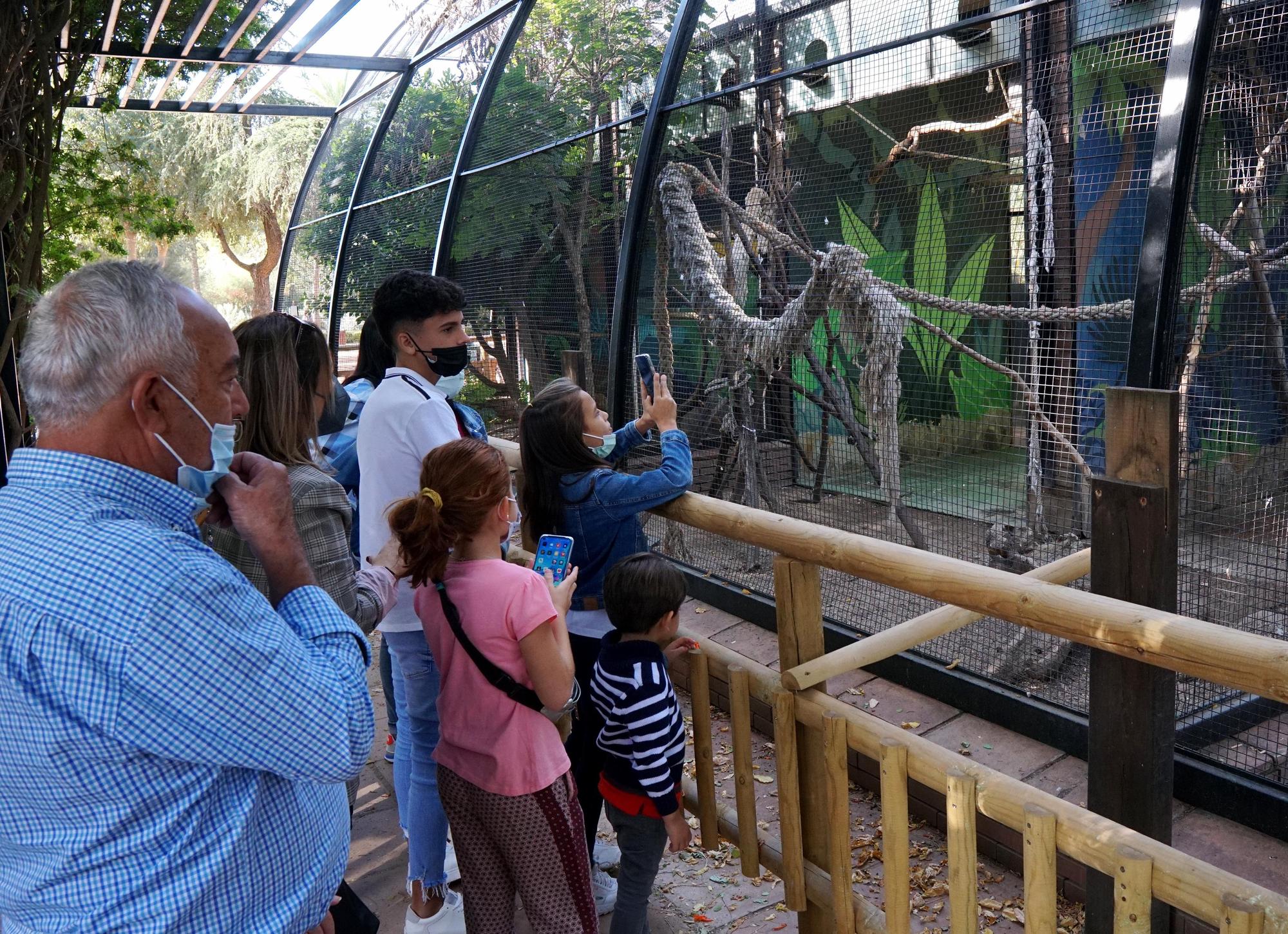 Día festivo en el Zoológico de Córdoba