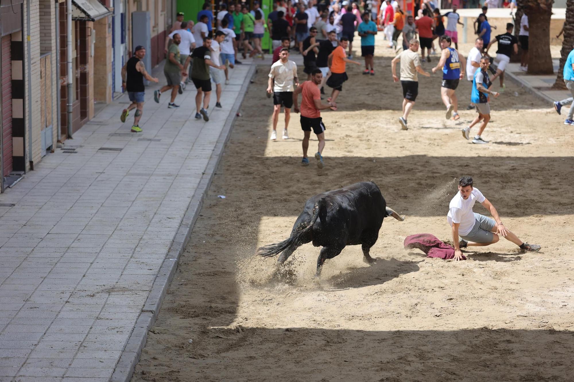 Encierro de cerriles en las fiestas de Sant Pere del Grau