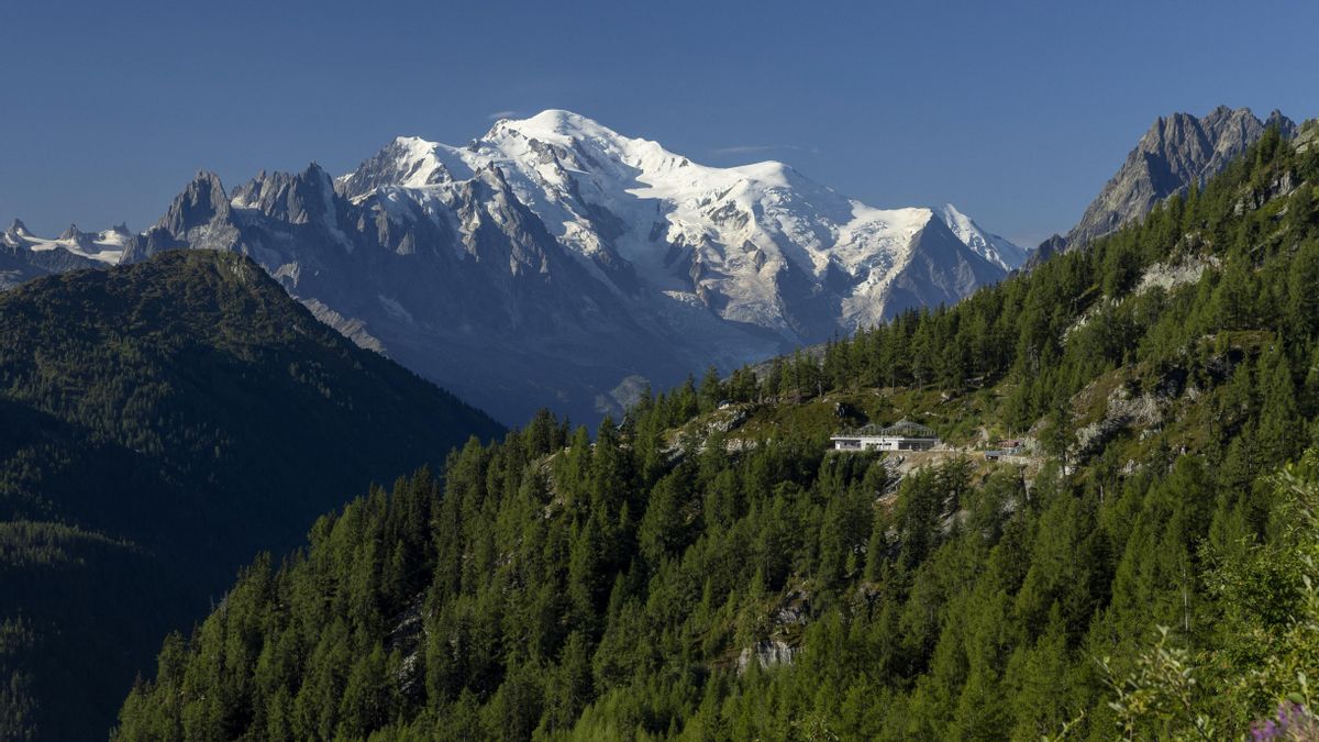 Vista del Mont Blanc.