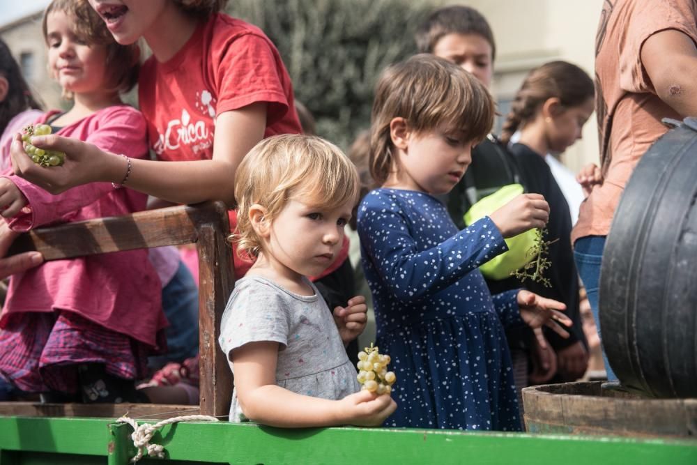 La Festa de la Verema del Bages