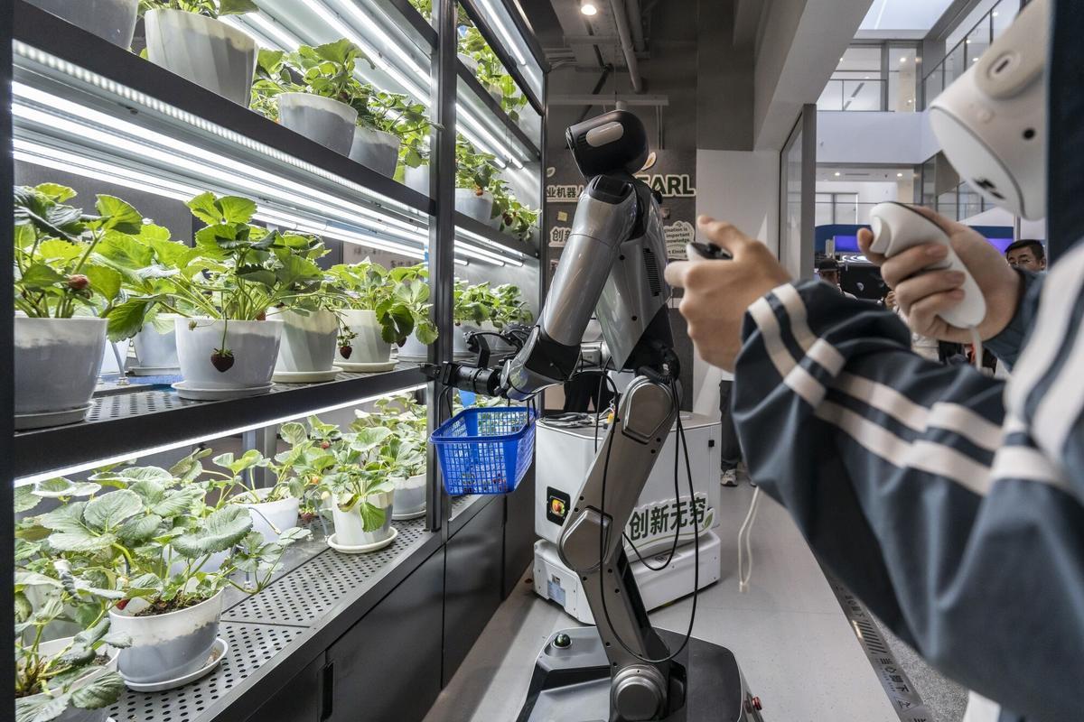 A student trains a humanoid robot to pick strawberries in the Future Learning Center at Zhejiang University's Zijingang Campus in Hangzhou, China, on Tuesday, June 2, 2026. China is preparing to spend around 2 trillion yuan ($295 billion) over the next five years on building data centers across the country, fueling Beijing’s ambition to propel the domestic AI sector and surpass the US in a potentially game-changing technology. Photographer: Qilai Shen/Bloomberg