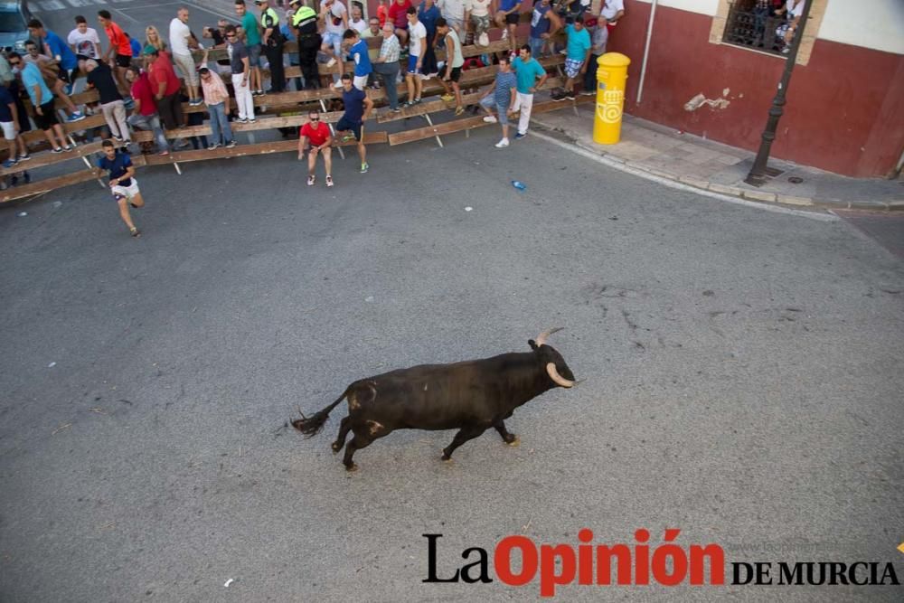 Suelta de toros en Moratalla