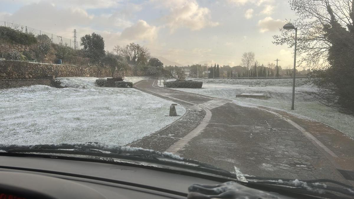 Enfarinada a Maçanet de Cabrenys.
