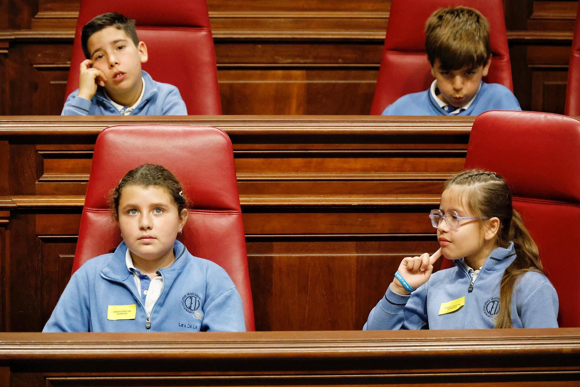 Escolares en el Parlamento de Canarias