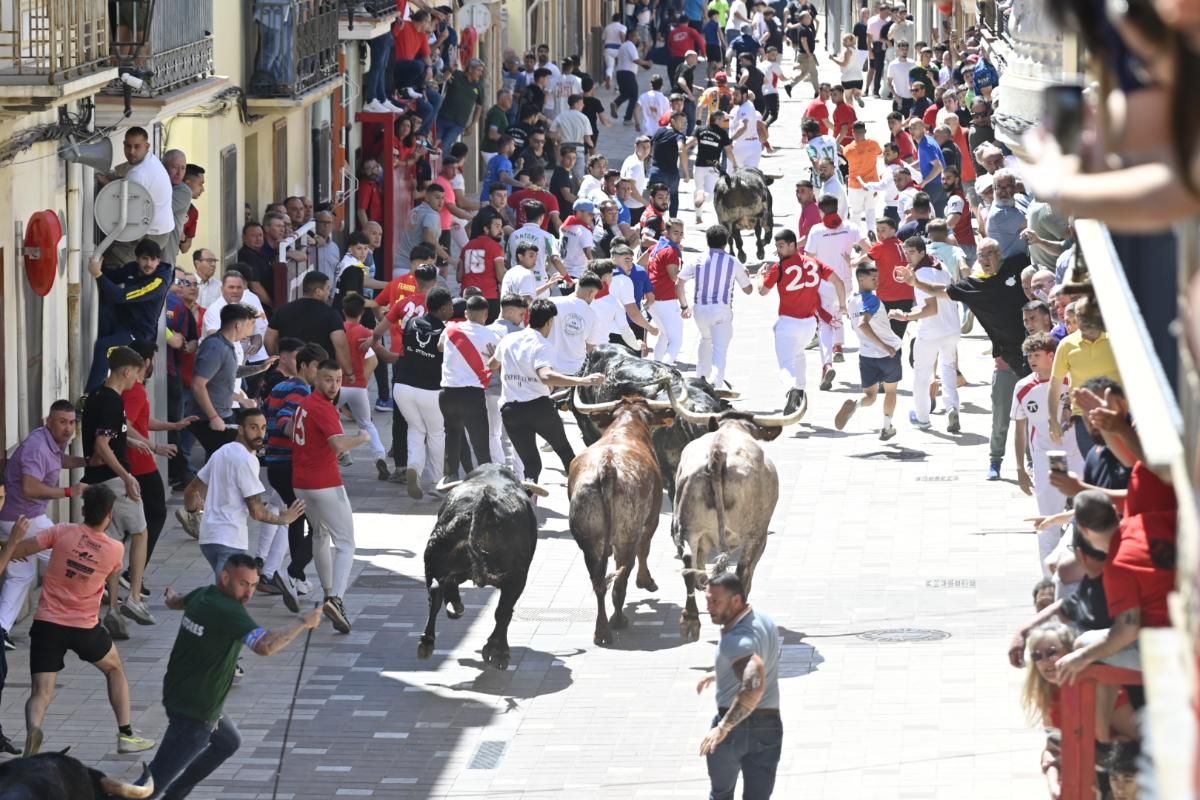Galería | Almassora vibra con el encierro de cerriles de Gerardo Ortega