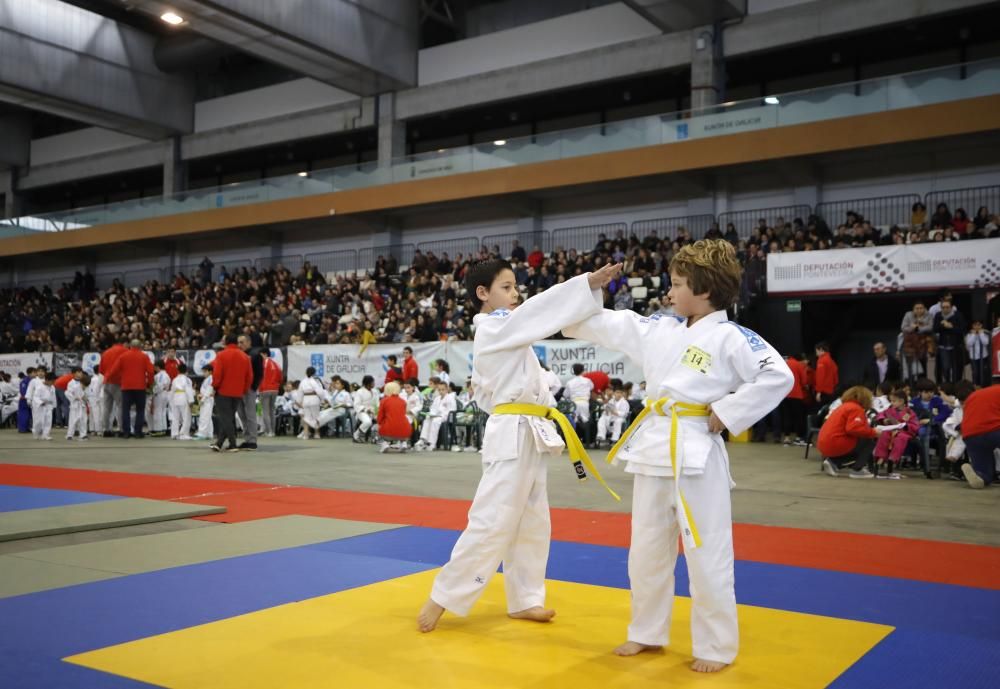 26ª edición de la Fiesta del Judo Infantil.