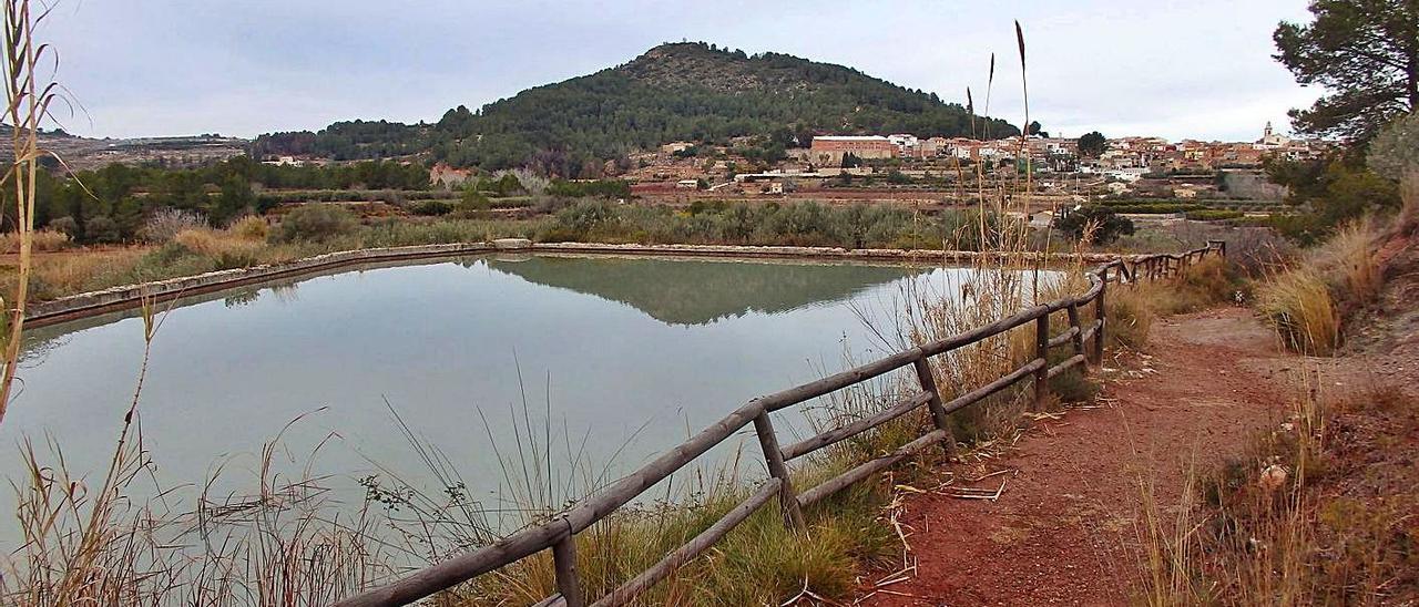 La Bassa del Sastre en primer término y al fondo el núcleo urbano de Montitxelvo. | LEVANTE-EMV