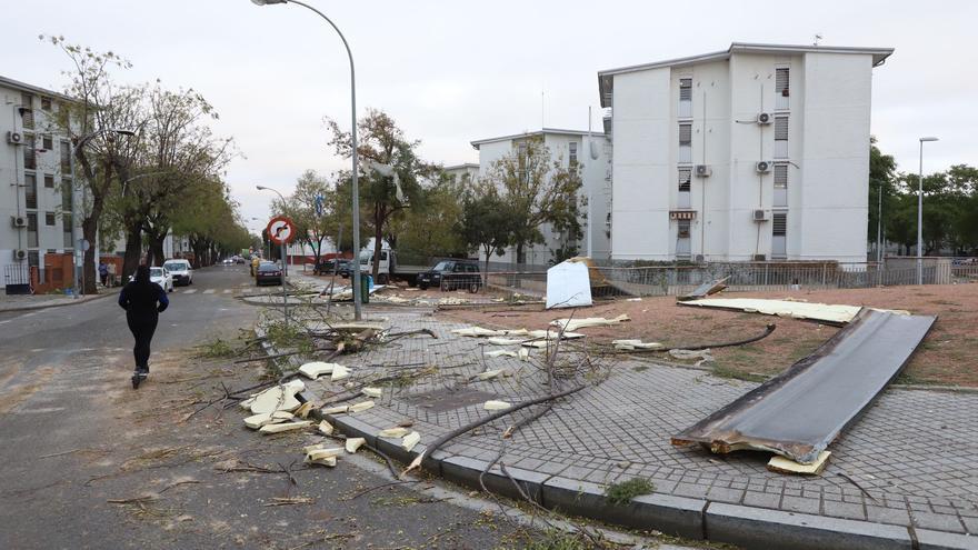 El día después de la borrasca Bernard en Córdoba: &quot;Ha salido volando todo el barrio&quot;