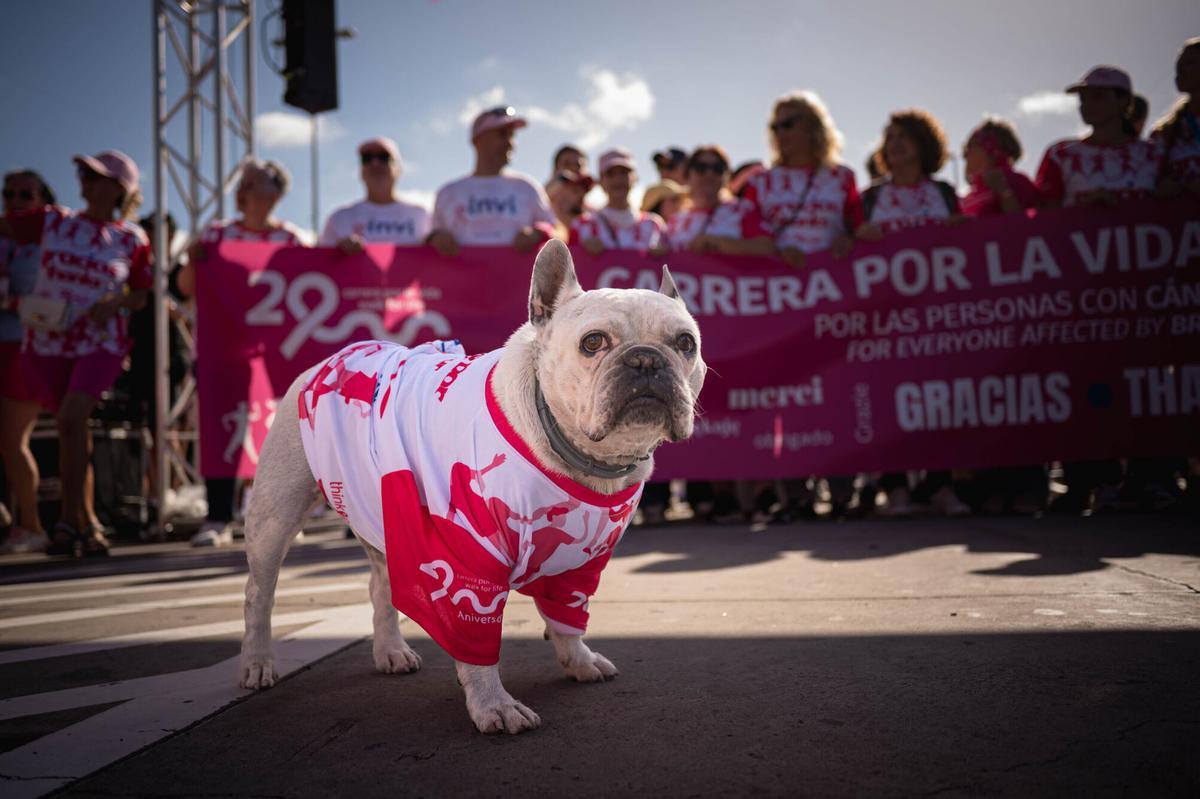 Carrera por la Vida entre Adeje y Arona