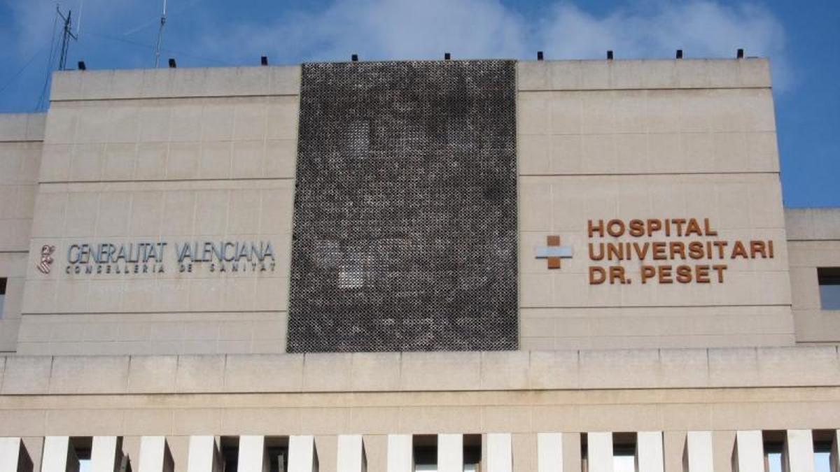 La mujer ha permanecido varios días en coma inducido en el Hospital Doctor Peset de València.