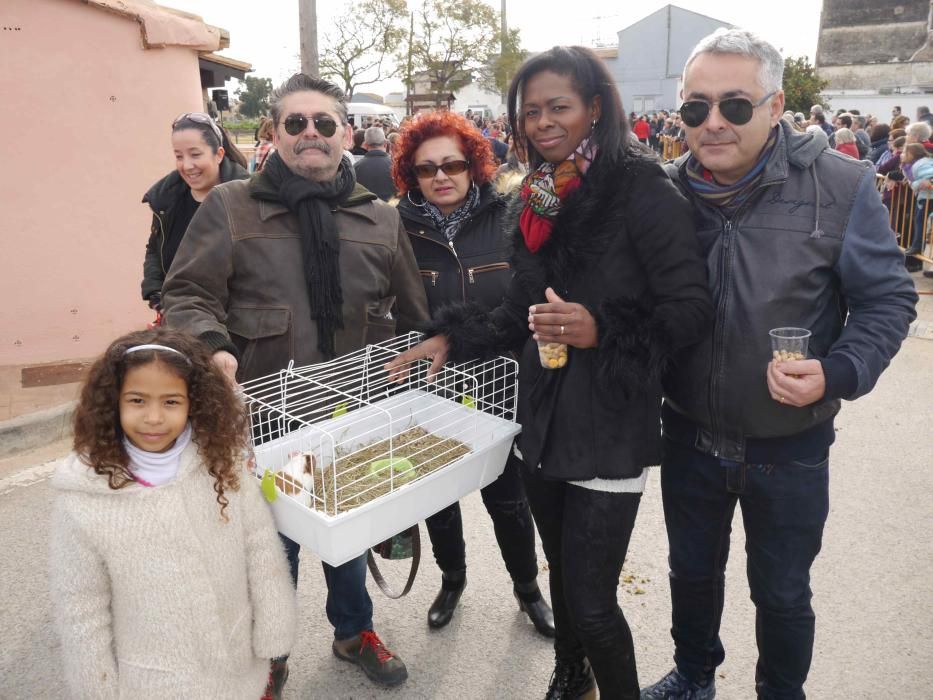 Fiesta de Sant Antoni Abad de Vera