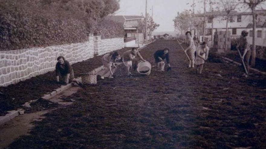 Mujeres tendiendo ocle en Luanco a mediados del pasado siglo.