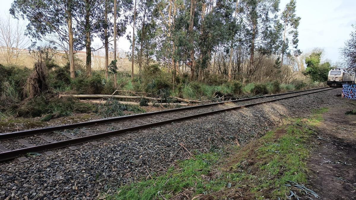 Guardias Civiles y operarios de Adif inspeccionan el tren de mercancías parado en A Barcala