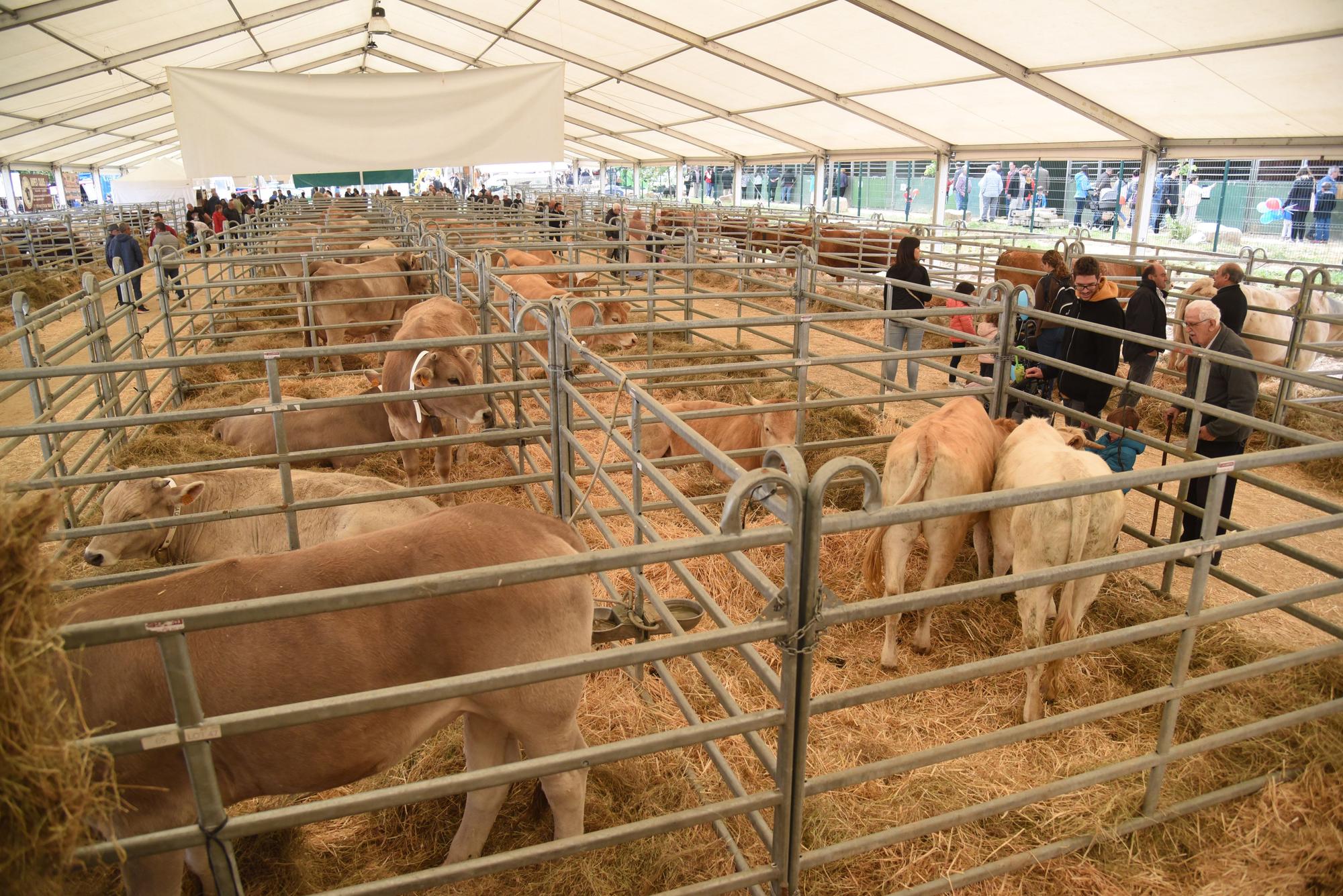 La Fira de Sant Isidre de Solsona obre amb ambient, però pendent del cel