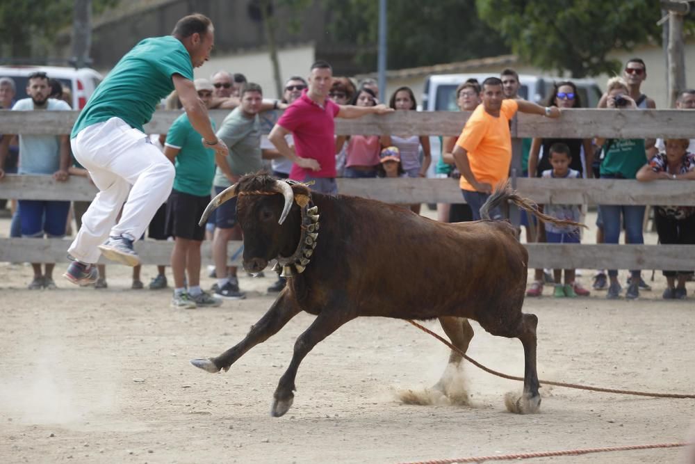 Vaquetes de Torroella de Montgrí