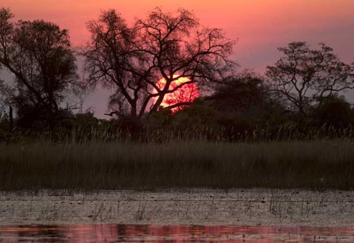 Anochecer en el delta del Okavango