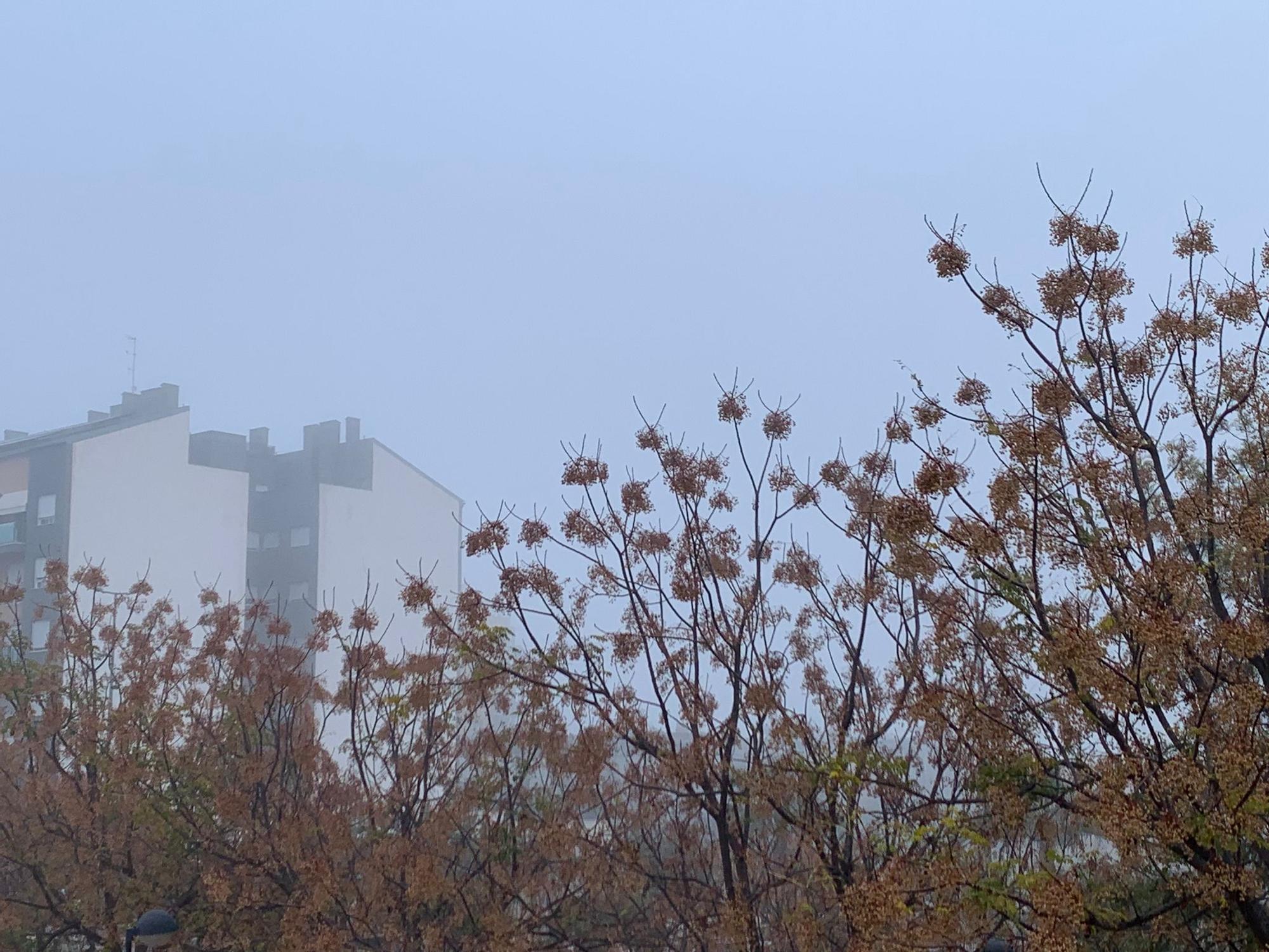 Imágenes de la niebla esta mañana en Murcia