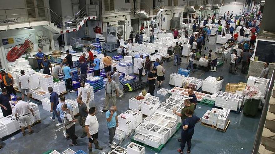 Mercamálaga invierte un millón de euros en mejoras de la unidad alimentaria