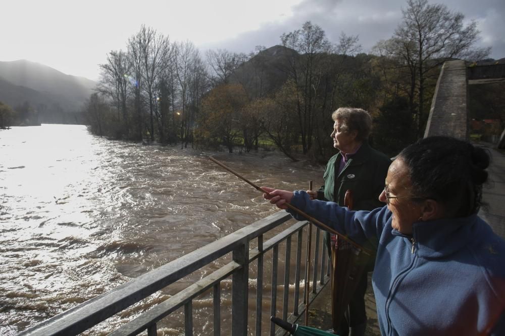 Aspecto del río Narcea a su paso por Laneo (Salas)