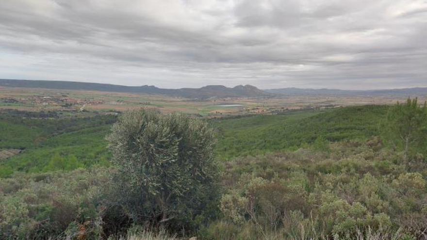 Puig Salagalar, zona on es projecta el parc.