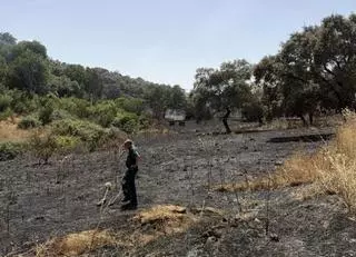 Piden seis años de cárcel en Córdoba a dos acusados de provocar un fuego con cinco focos en una finca y portar un rifle sin licencia