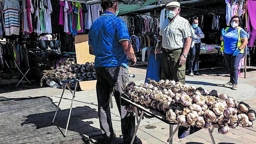 Venta de ajos en Fuenteasúco.